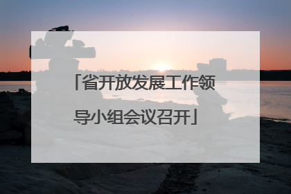 省开放发展工作领导小组会议召开